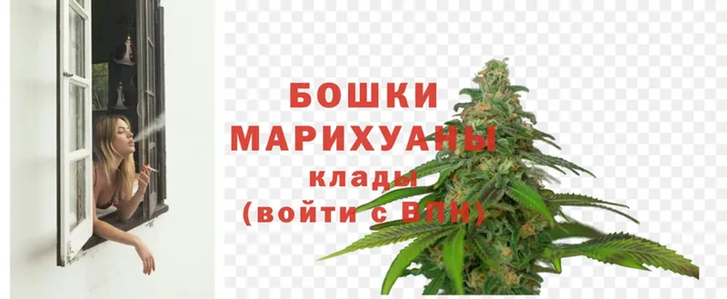 сколько стоит  Ивангород  Конопля White Widow 